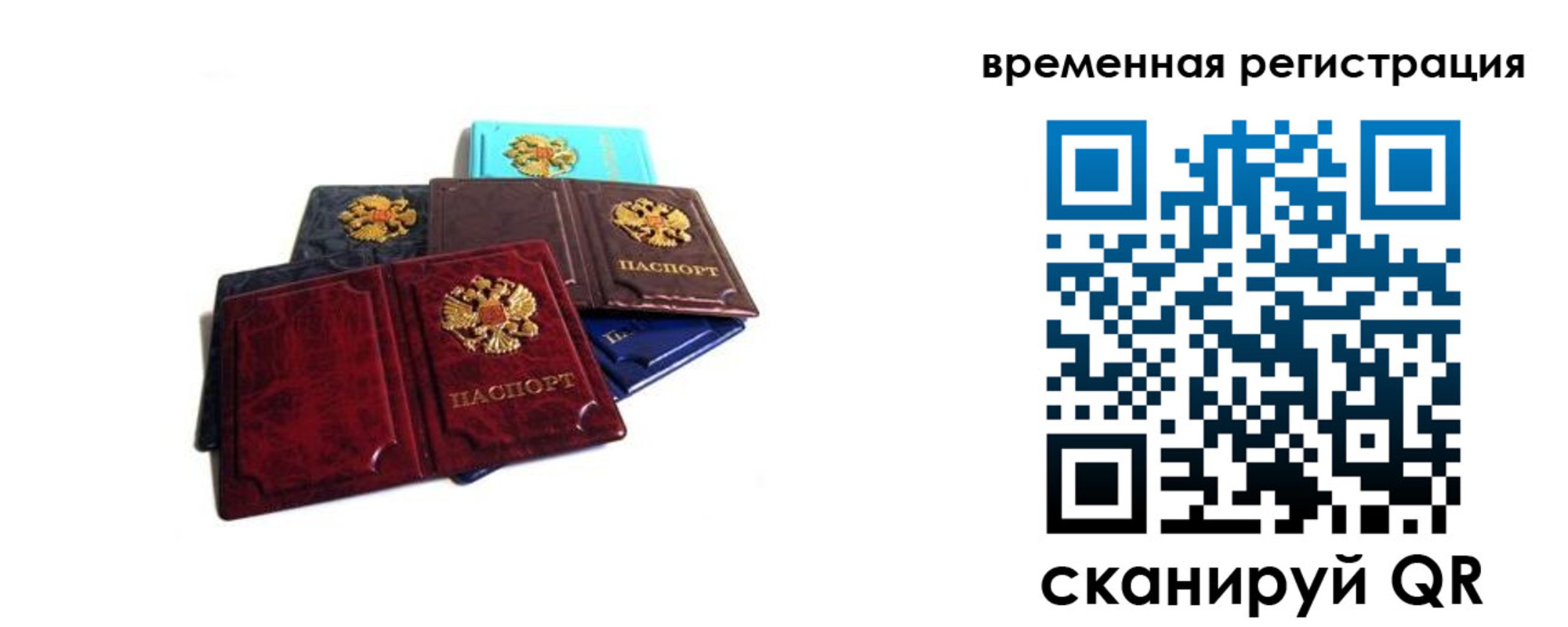 прописка гарантия в Зеленодольске